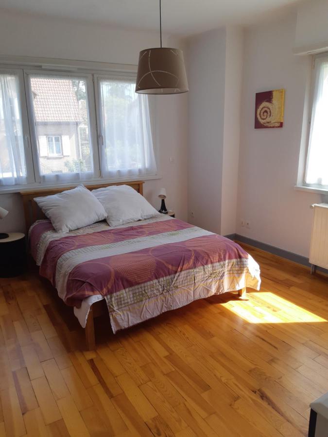 Villa/Appartement Au Coeur Des Vignes *** Barr Εξωτερικό φωτογραφία
